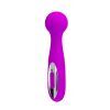 1 mini massager wade purple