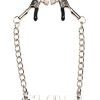 Slave Chain with Nipple Clamps