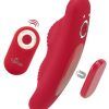 Sweet Smile: RC Panty Vibrator