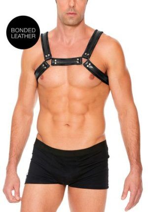 Buckle Bulldog Harness S/M