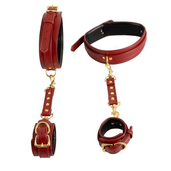 Hand & Leg Restraints