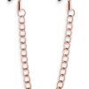 bound nipple clamps 3