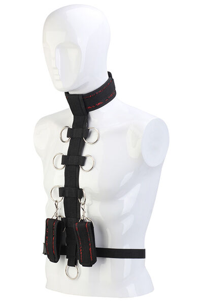 Dream Toys Blaze Deluxe Collar Body Restraint Positionshållare