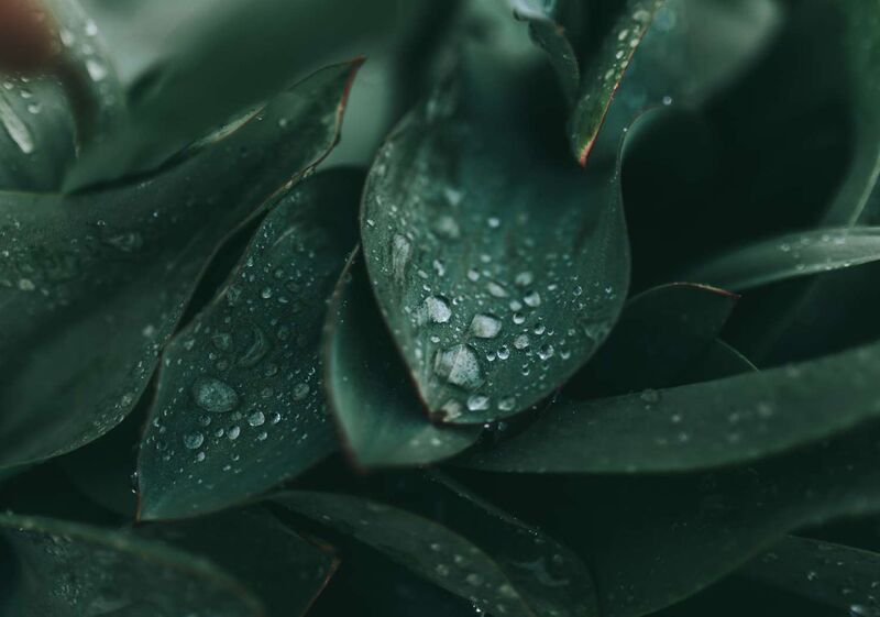 cole keister 8V1gfeaPP1Y unsplash