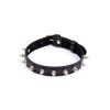 collar with spikes 1