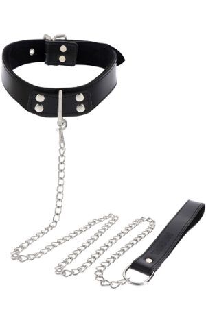 Elegant Collar & Chain Leash