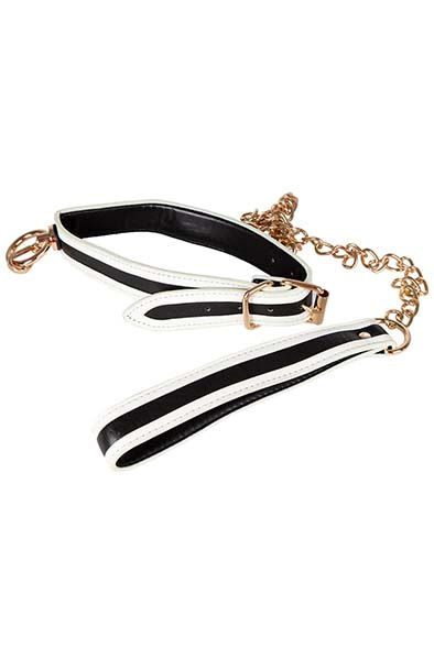 Glow-in-the-Dark Collar with Leash