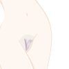 BIKINI SHAPING TOOL BRAZILIAN