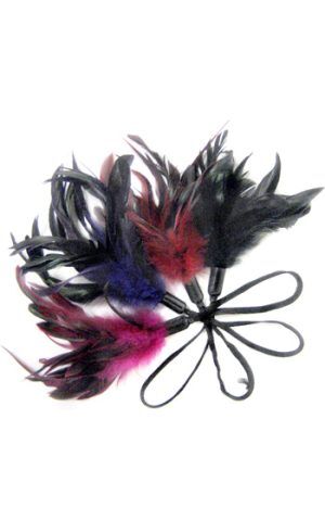 Pleasure Feather