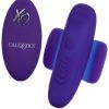 remotepulsatingpantyteaser 1