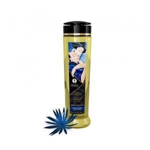 Shunga Massage Oil - Seduction 240ml
