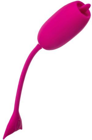 Cal Exotics Rechargeable Kegel Teaser Vibrerande ägg