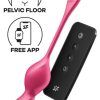 Satisfyer Love Birds 2 App Training Knipkulor / Geishakulor