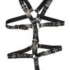 ZADO: Strap Body Harness with Ring
