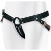40779 harness portada