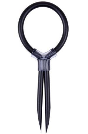 Chisa Stud Cock Ring Penisring