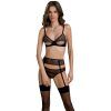 26119 passion eco zinnia peekaboo set 01 model q100