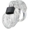 28242 the vice chastity device clear 02 product q100 2