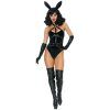 29215 dreamgirl bad girl bunny costume 01 model q100