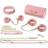 45820 bdsm deluxe 5 item bondage kit pink 01 product