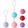 46695 calexotics she ology interchangeable weighte… 01 product