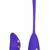estim remote kegel exerciser