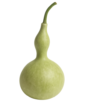 Kalebass enligt legenden